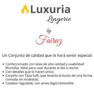 Conjunto Lenceria Taza Soft y Push Up + Arnes Portaligas (art 5108) 85 al 100: imagen 5